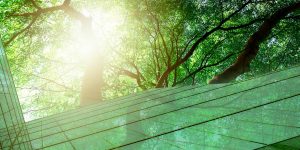 green construction sofia